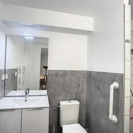 Cosy A 50m Des Thermes De Avec Terrasse, Wifi Et Animaux Acceptes - Fr-1-451-46 *
