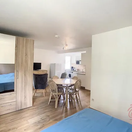 Cosy A 50m Des Thermes De Avec Terrasse, Wifi Et Animaux Acceptes - Fr-1-451-46 아파트 *