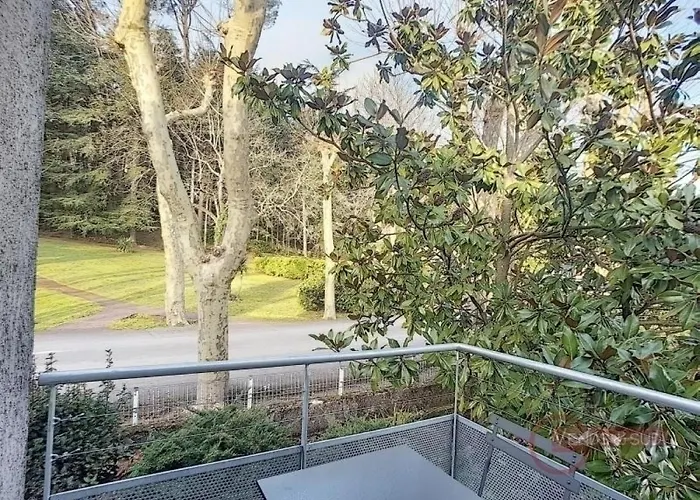 Apartamento Cosy à 50m Des Thermes De Avec Terrasse, Wifi Et Animaux Acceptés - Fr-1-451-46 *