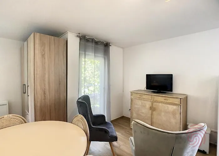 Cosy à 50m Des Thermes De Avec Terrasse, Wifi Et Animaux Acceptés - Fr-1-451-46 Apartamento Lamalou-les-Bains