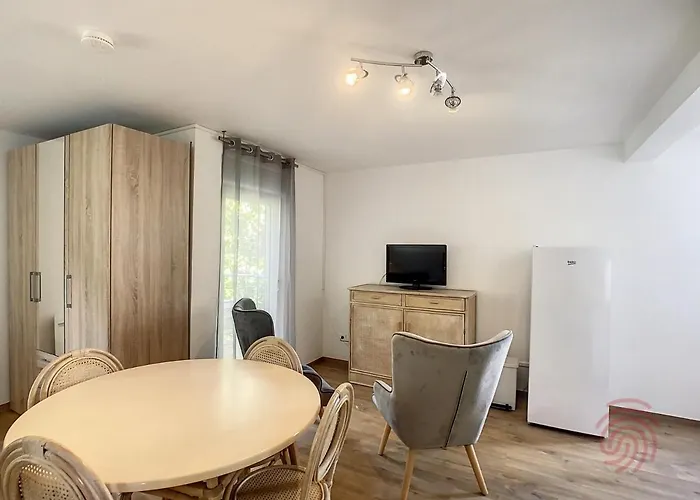 Cosy à 50m Des Thermes De Avec Terrasse, Wifi Et Animaux Acceptés - Fr-1-451-46 Apartamento *