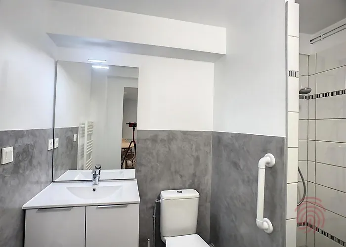 Cosy à 50m Des Thermes De Avec Terrasse, Wifi Et Animaux Acceptés - Fr-1-451-46 *