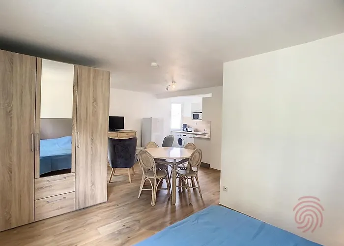 Cosy à 50m Des Thermes De Avec Terrasse, Wifi Et Animaux Acceptés - Fr-1-451-46 Apartamento *