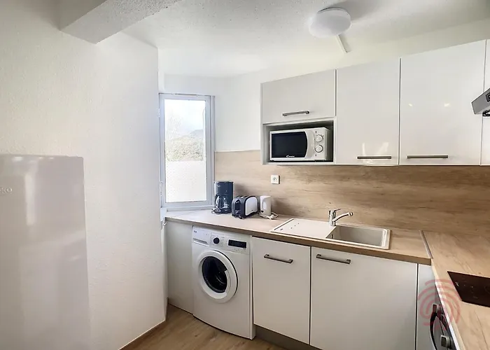 Cosy à 50m Des Thermes De Avec Terrasse, Wifi Et Animaux Acceptés - Fr-1-451-46 *