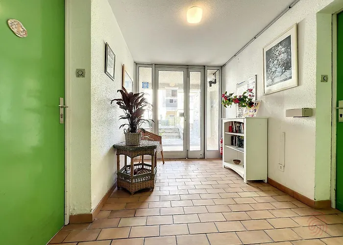 Cosy à 50m Des Thermes De Avec Terrasse, Wifi Et Animaux Acceptés - Fr-1-451-46 *